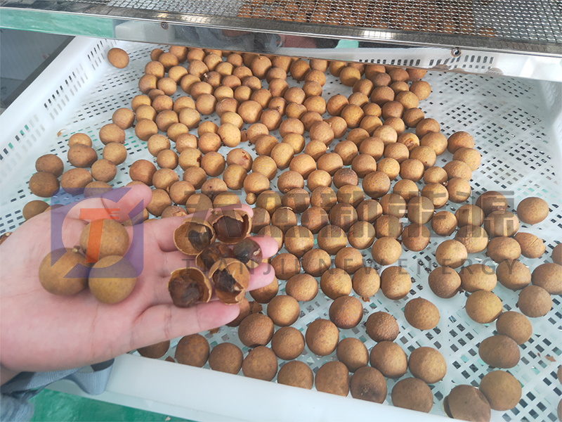 天杰新能源?；葜蔟堁酆娓蓹C(jī)開機(jī)大吉